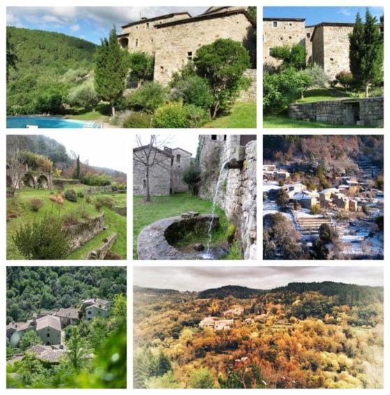 Oracines Du Calme Maison Hortense Sanilhac  Zewnętrze zdjęcie